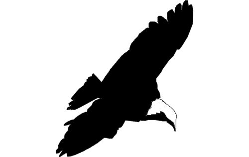 طرح آگوا ایگل - aguia eagle - برای دستگاه CNC چوب و لیزر (سی ان سی)