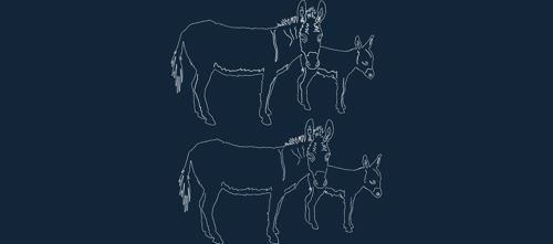 طرح الاغ‌های حیوان - animal donkeys - برای دستگاه CNC چوب و لیزر (سی ان سی)