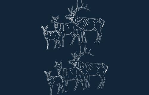 طرح حیوانات - animals 2 41 - برای دستگاه CNC چوب و لیزر (سی ان سی)