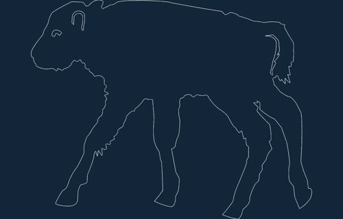 طرح حیوانات کودک - animals child - برای دستگاه CNC چوب و لیزر (سی ان سی)