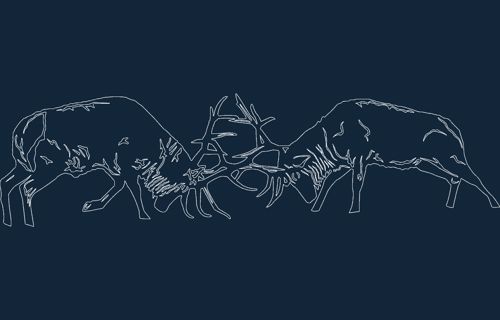 طرح حیوانات جنگ آزاد - animals fighting - برای دستگاه CNC چوب و لیزر (سی ان سی)