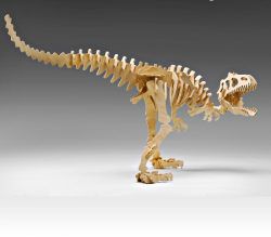 طرح مدل مونتاژ چوبی دایناسور مستبد برای برش لیزر cnc - assembly model wooden state dinosaur tyrant for laser cut cnc - برای دستگاه CNC چوب و لیزر (سی ان سی)
