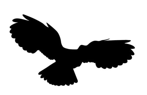 طرح عقاب طاس سیاه شبح - bald eagle black silhouette - برای دستگاه CNC چوب و لیزر (سی ان سی)