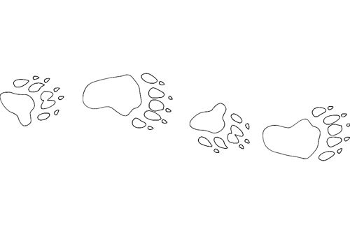 طرح آهنگ اردوگاه خرس - bear camp tracks - برای دستگاه CNC چوب و لیزر (سی ان سی)
