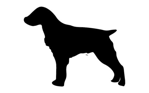 طرح بریتنی اسپانیل سگ - brittany spaniel dog - برای دستگاه CNC چوب و لیزر (سی ان سی)