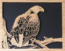 طرح تصویر عقاب buecs برای برش لیزر cnc نیاز به استفاده از دستگاه - buecs eagle picture for laser cut cnc - برای دستگاه CNC چوب و لیزر (سی ان سی)