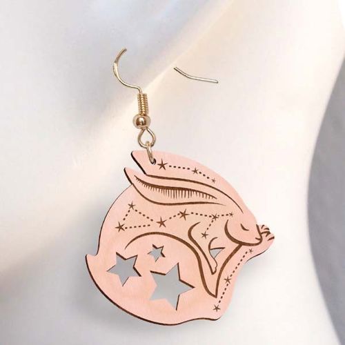 طرح گوشواره ستاره خواب خرگوش با طرح حکاکی لیزر - bunny rabbit sleep stars earring with engraving design laser cut ve - برای دستگاه CNC چوب و لیزر (سی ان سی)