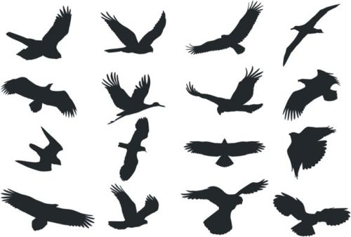 طرح مجموعه پرنده سیلوئت - collection of bird silhouette - برای دستگاه CNC چوب و لیزر (سی ان سی)