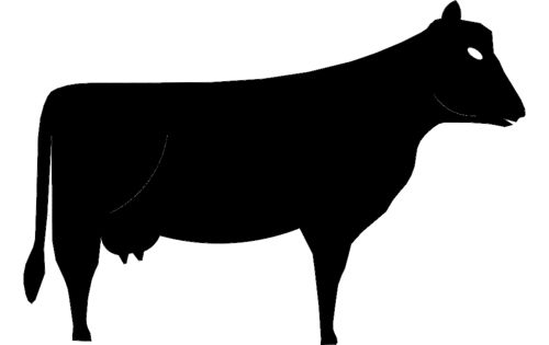 طرح گاو - cow - برای دستگاه CNC چوب و لیزر (سی ان سی)