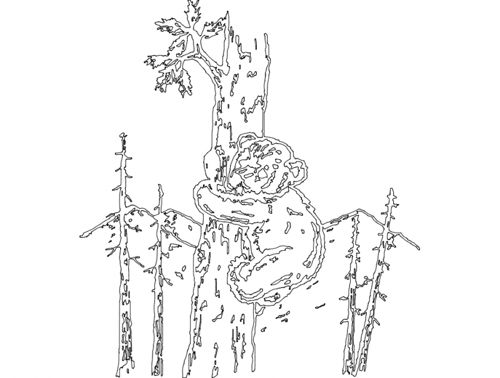 طرح توله در درخت - cub in tree - برای دستگاه CNC چوب و لیزر (سی ان سی)