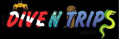 طرح لوگو لیست di n trips - dive n trips logo - برای دستگاه CNC چوب و لیزر (سی ان سی)