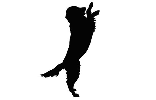طرح سگ لابرودور سیلوئت - dog labrodore silhouette ve - برای دستگاه CNC چوب و لیزر (سی ان سی)