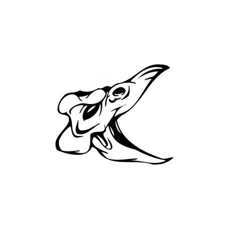 طرح جمجمه ترسناک سر پرنده 006 - horror skull bird head 006 - برای دستگاه CNC چوب و لیزر (سی ان سی)