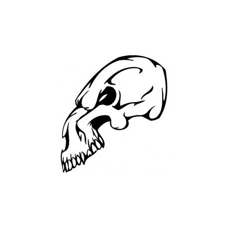 طرح جمجمه ترسناک سر پرنده 0 7 - horror skull bird head 017 - برای دستگاه CNC چوب و لیزر (سی ان سی)