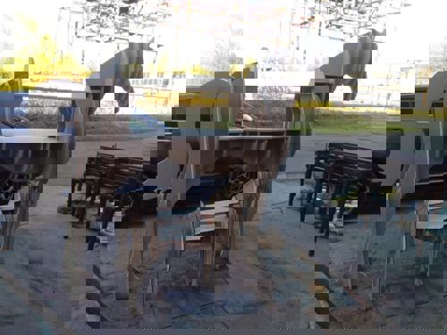 طرح قفسه اسب برای برش لیزری - horse shelve layout for laser cut - برای دستگاه CNC چوب و لیزر (سی ان سی)