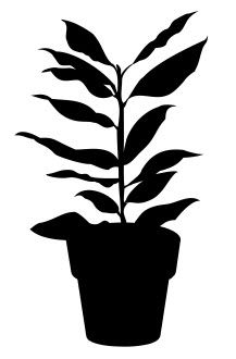 طرح گیاه خانگی 6 - house plant 6 - برای دستگاه CNC چوب و لیزر (سی ان سی)