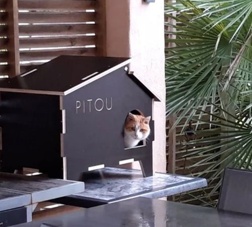 طرح خانه گربه بچه گربه برای برش لیزری - kitty cat house for laser cut - برای دستگاه CNC چوب و لیزر (سی ان سی)