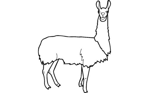 طرح لاما حیوان - lama animal - برای دستگاه CNC چوب و لیزر (سی ان سی)