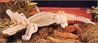 طرح قالب پازل تمساح برش لیزری سه بعدی - laser cut 3d puzzle alligator template - برای دستگاه CNC چوب و لیزر (سی ان سی)