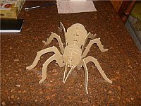 طرح قالب پازل عنکبوت حشره برش لیزری سه بعدی لکه - laser cut 3d puzzle spider insect template - برای دستگاه CNC چوب و لیزر (سی ان سی)