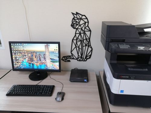 طرح برش لیزری گربه چندضلعی هنر دیوار دکوراسیون سه بعدی مجسمه هنر - laser cut cat polygon art wall decor 3d sculpture art - برای دستگاه CNC چوب و لیزر (سی ان سی)