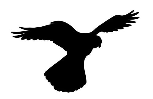 طرح برش لیزری عقاب مشکی سیلوئت - laser cut eagle black silhouette - برای دستگاه CNC چوب و لیزر (سی ان سی)