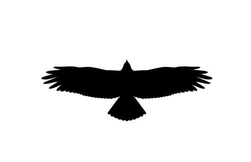 طرح برش لیزری عقاب سیلوئت برچسب وینیل برچسب - laser cut eagle silhouette decal vinyl sticker - برای دستگاه CNC چوب و لیزر (سی ان سی)