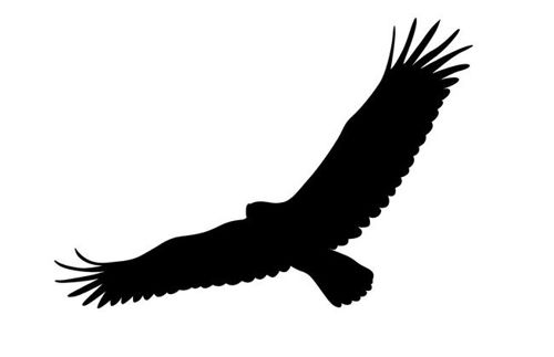 طرح برش لیزری عقاب پرنده در حال پرواز سیاه شبیه سایه - laser cut flying eagle bird black silhouette - برای دستگاه CNC چوب و لیزر (سی ان سی)