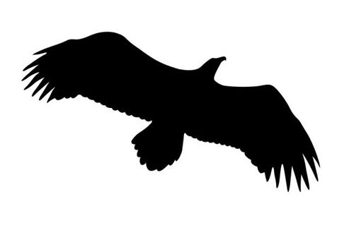 طرح برش لیزری عقاب پرنده سیلیکون - laser cut flying eagle bird silhouette - برای دستگاه CNC چوب و لیزر (سی ان سی)