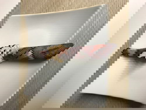 طرح تخته سه لا جا دستمال حلقه برش لیزری - plywood napkin holder ring laser cutting ve - برای دستگاه CNC چوب و لیزر (سی ان سی)