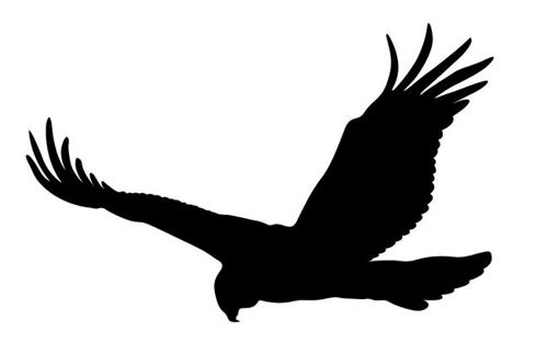 طرح عقاب پرنده در حال پرواز سایه - soaring eagle bird silhouette - برای دستگاه CNC چوب و لیزر (سی ان سی)