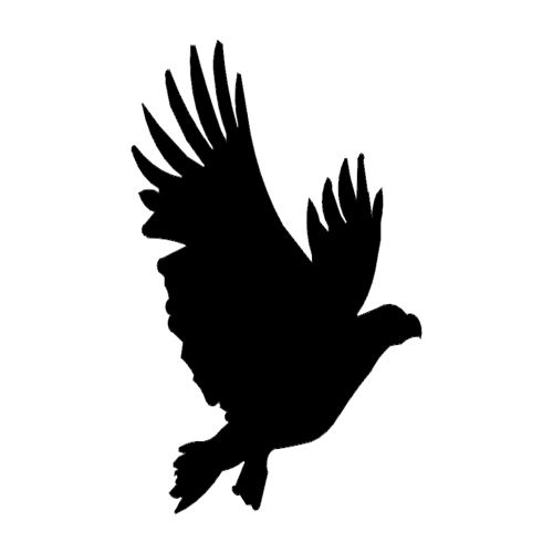طرح عقاب آمریکایی در حال پرواز عقاب - american eagle flying eagle - برای دستگاه CNC چوب و لیزر (سی ان سی)