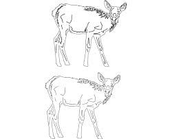 طرح حیوان - animal 2 14 - برای دستگاه CNC چوب و لیزر (سی ان سی)
