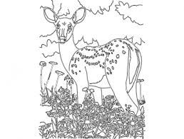 طرح حیوانات بامبی - animal bambi - برای دستگاه CNC چوب و لیزر (سی ان سی)