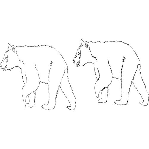 طرح هنر خط خرس حیوانی خط - animal bear line art - برای دستگاه CNC چوب و لیزر (سی ان سی)