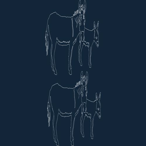 طرح الاغ‌های حیوان - animal donkeys - برای دستگاه CNC چوب و لیزر (سی ان سی)
