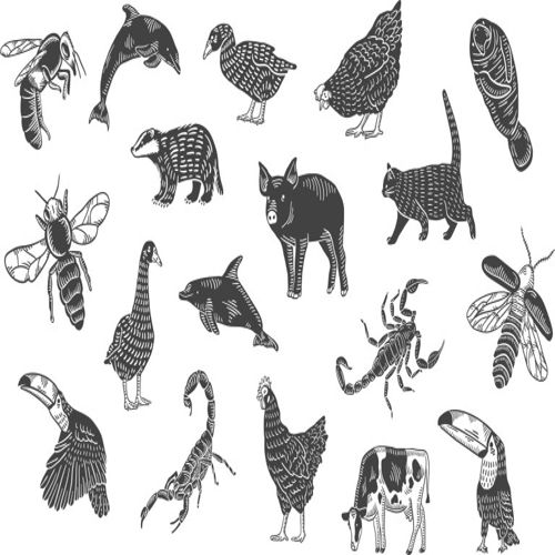 طرح مجموعه حیوانات برای برش لیزری - animal set for laser cutting ve - برای دستگاه CNC چوب و لیزر (سی ان سی)