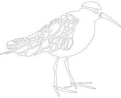 طرح نقاشی خط پرنده عکس - bird line art - برای دستگاه CNC چوب و لیزر (سی ان سی)