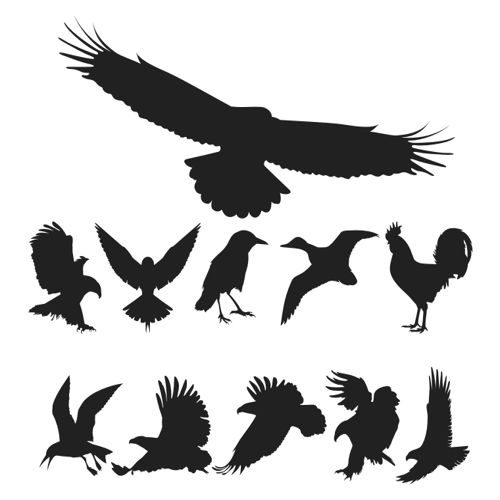 طرح بسته پرندگان برای برش لیزری - birds pack for laser cut - برای دستگاه CNC چوب و لیزر (سی ان سی)