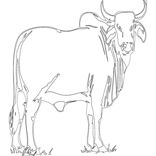 طرح گاو نر - bull - برای دستگاه CNC چوب و لیزر (سی ان سی)