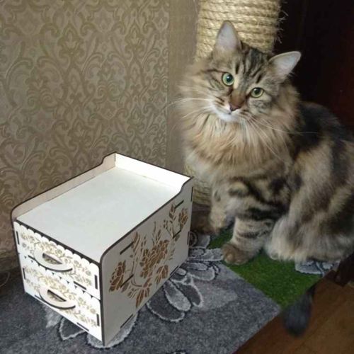 طرح کمد کشو با کشو برای برش لیزری - chest of drawers with 2 drawers for laser cutting ve - برای دستگاه CNC چوب و لیزر (سی ان سی)