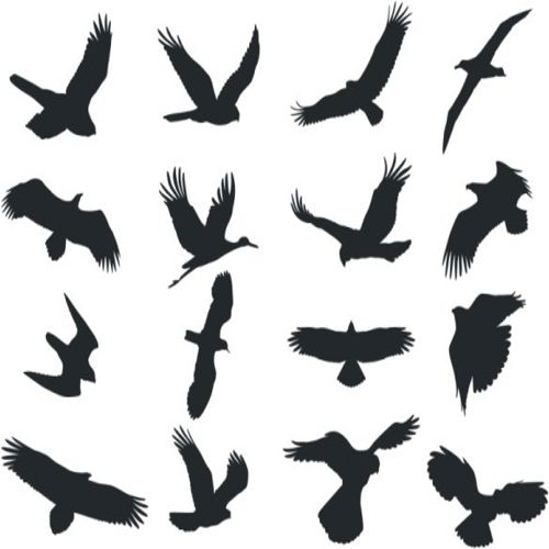 طرح مجموعه پرنده سیلوئت - collection of bird silhouette - برای دستگاه CNC چوب و لیزر (سی ان سی)