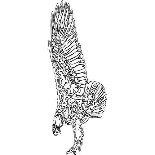 طرح عقاب - eagle 7 - برای دستگاه CNC چوب و لیزر (سی ان سی)