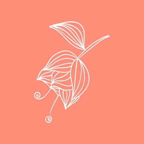 طرح گل - flower 2 - برای دستگاه CNC چوب و لیزر (سی ان سی)
