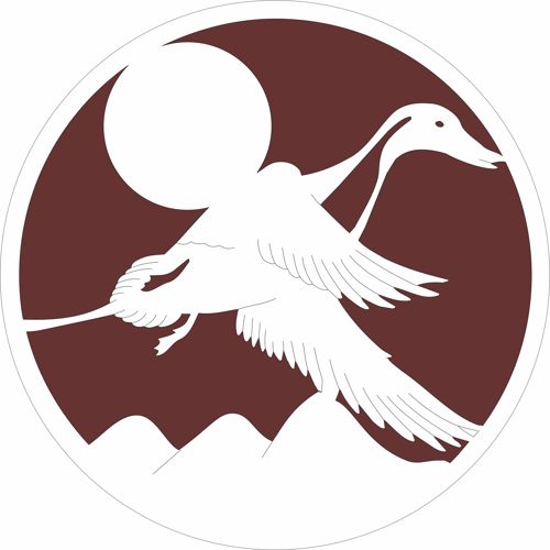 طرح الگوی طراحی دایره‌ای پرنده در حال پرواز برای برش لیزری - flying bird circular design pattern for laser cut ve - برای دستگاه CNC چوب و لیزر (سی ان سی)