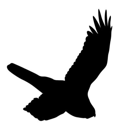 طرح پرنده عقاب در حال پرواز سیاه شبیه رنگ - flying eagle bird black silhouette - برای دستگاه CNC چوب و لیزر (سی ان سی)