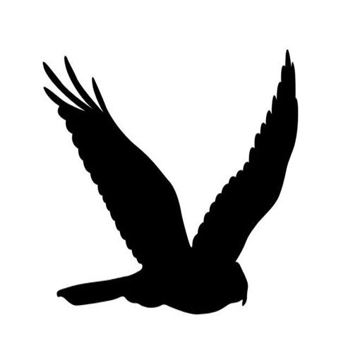 طرح پرواز عقاب پرنده شبیه رنگ - flying eagle bird silhouette - برای دستگاه CNC چوب و لیزر (سی ان سی)