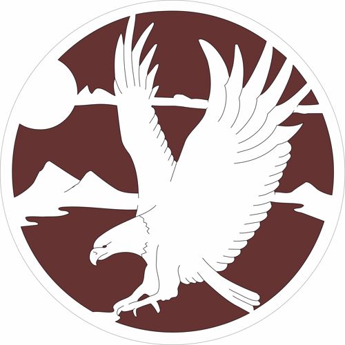 طرح الگوی طرح دایره عقاب در حال پرواز برای برش لیزری - flying eagle circular design pattern for laser cutting - برای دستگاه CNC چوب و لیزر (سی ان سی)