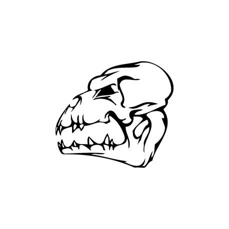 طرح جمجمه ترسناک سر پرنده 003 - horror skull bird head 003 - برای دستگاه CNC چوب و لیزر (سی ان سی)