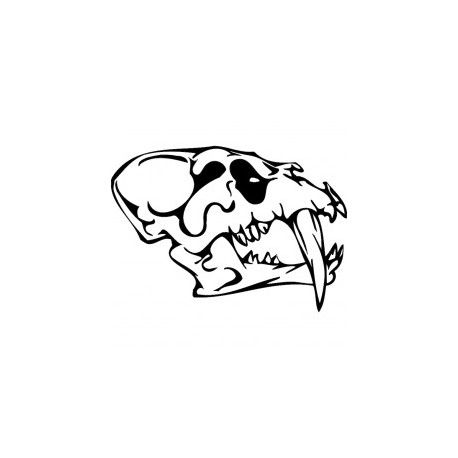 طرح جمجمه ترسناک سر پرنده 0 - horror skull bird head 011 - برای دستگاه CNC چوب و لیزر (سی ان سی)